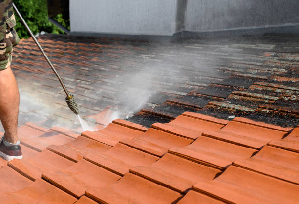 Best House Pressure Washing  in Fredericktown, OH
